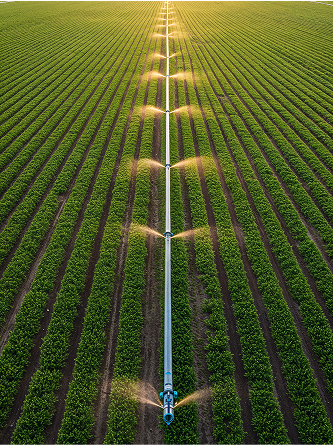 Agriculture
& Irrigation
